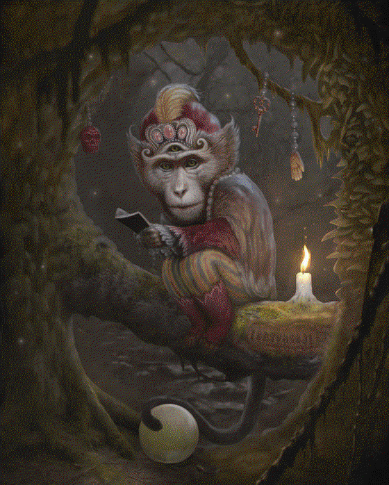 The Mystical Monkey