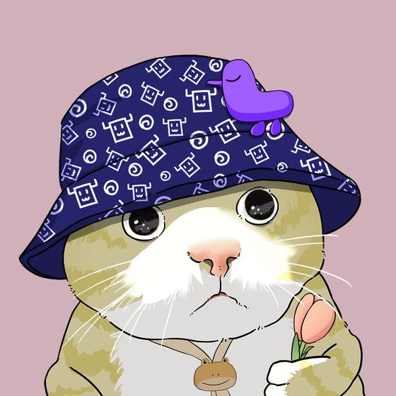 Puzzled cat #8699