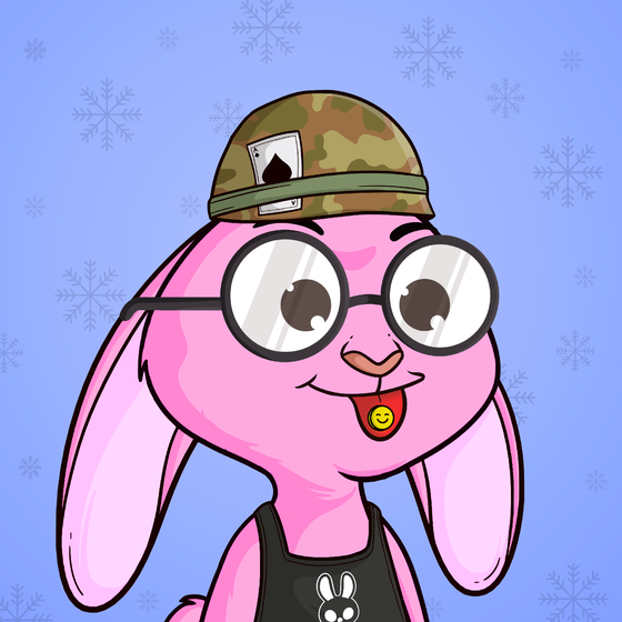 Super Rabbit #4504