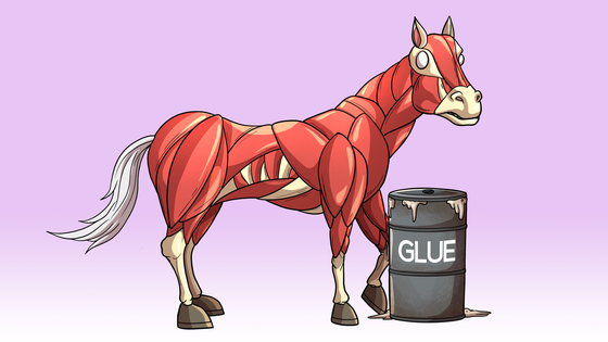 Glue Factory Horse #8265