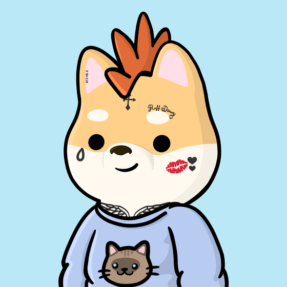 Shibe #2270