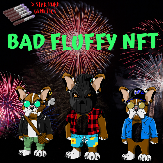 BAD FLUFFY NFT 