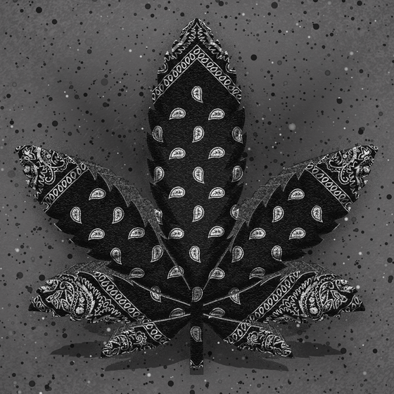 SUPREME Cannabis #9972