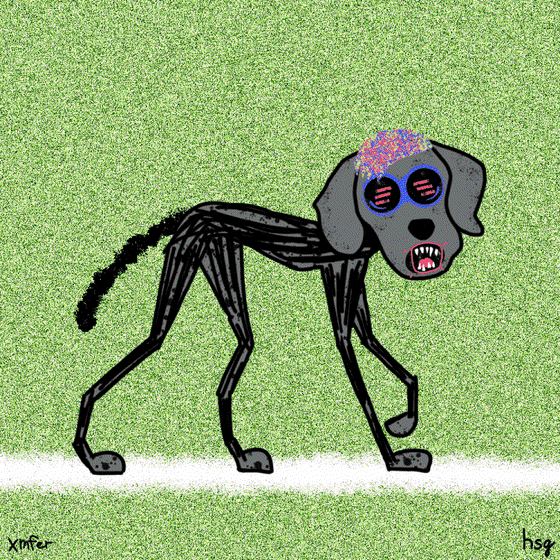 dog #242