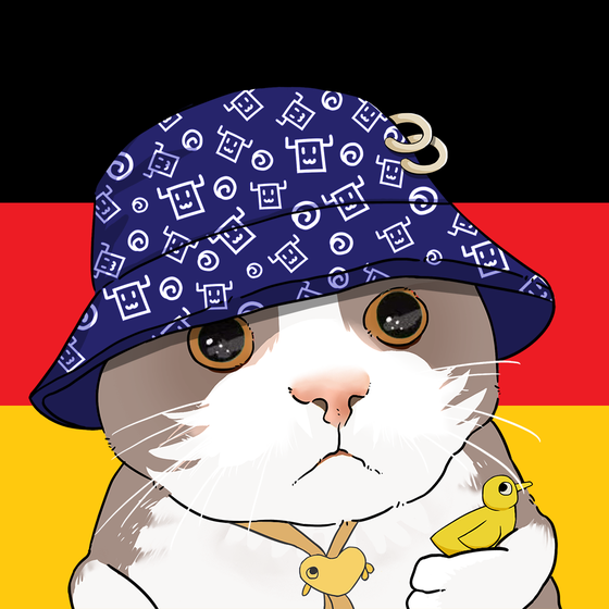 Puzzled cat #838