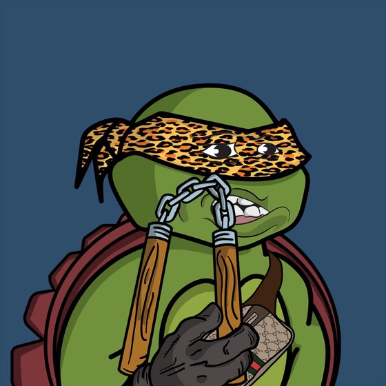 Degen Ninja Turtle #2438