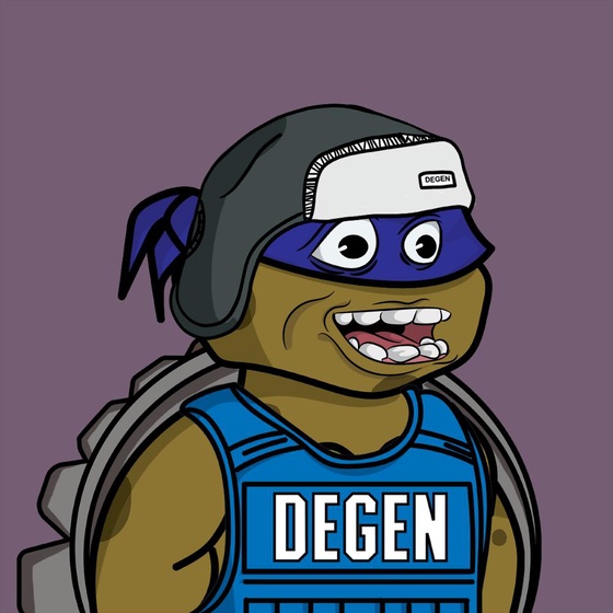 Degen Ninja Turtle #5107