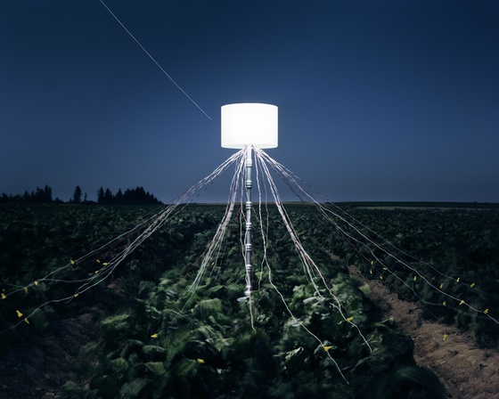 Back to Light - Beet Field Battery, LaJoie Growers LLC, Van Buren, Maine