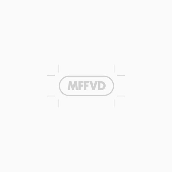 [ MFFVD ] - #17