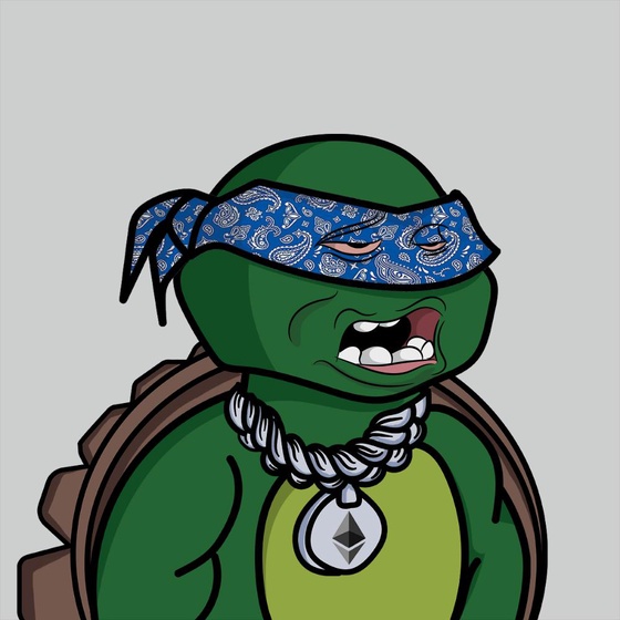 Degen Ninja Turtle #2364