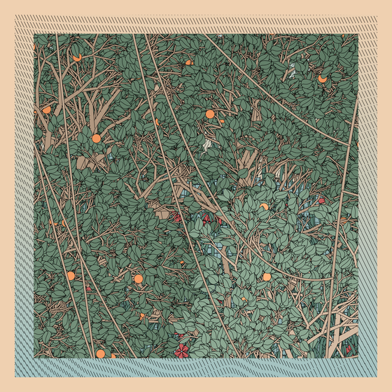 Entangled #404