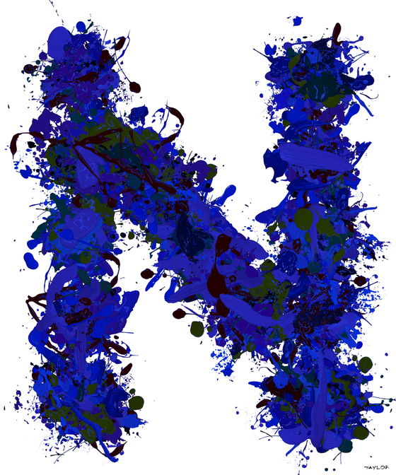 N #8