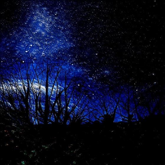 a starry night