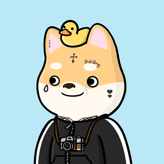 Shibe #4432