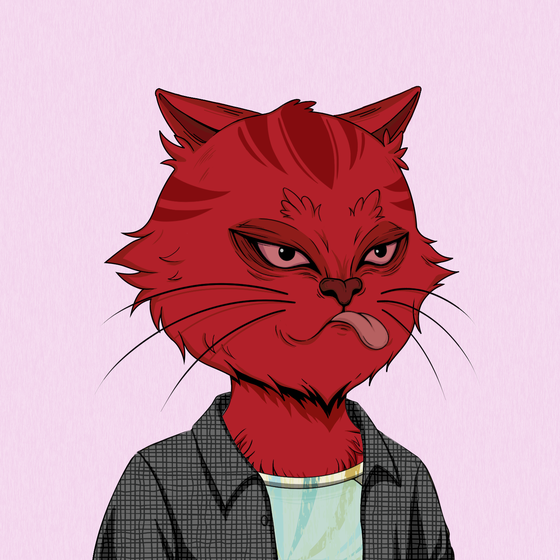 Angry Cat #8597