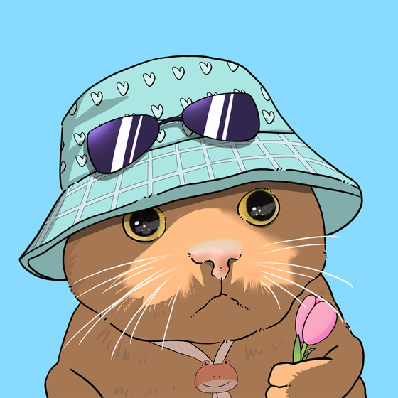 Puzzled cat #4200