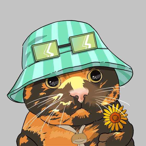 Puzzled cat #7629