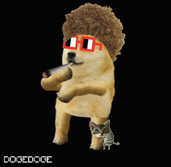 DOGEDOGE #623