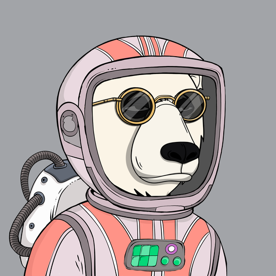 Okay Space Bear #4717