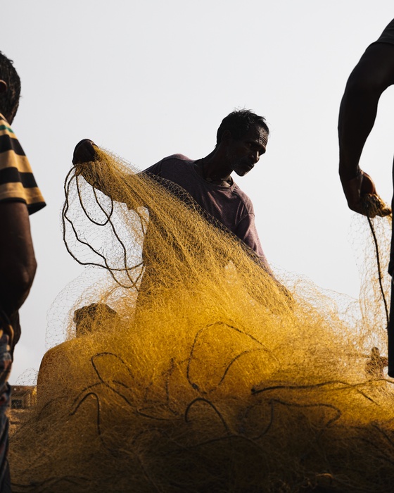 Nets of Gold