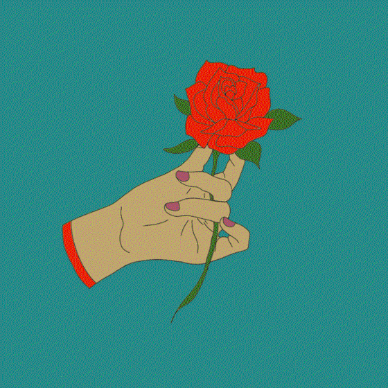 For Roses