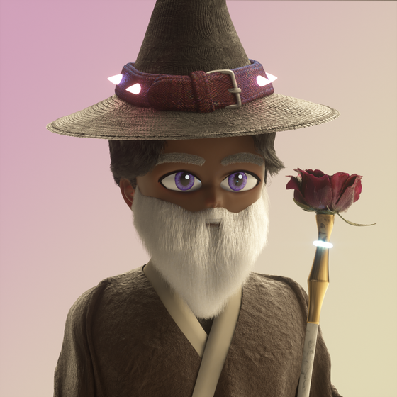 Wizard 1195