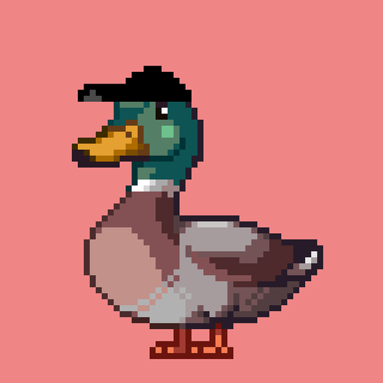 Mallard #4251