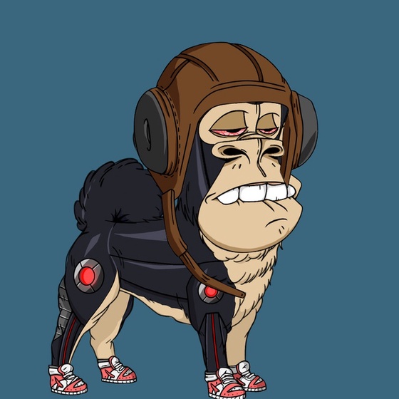 Kennel Ape #6828