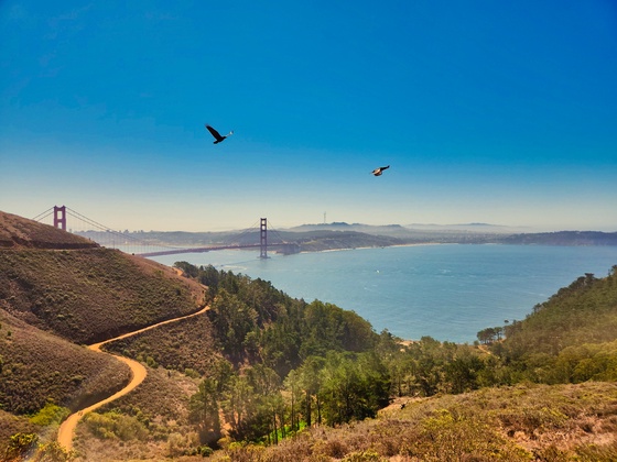 Behind the Bay 1/10