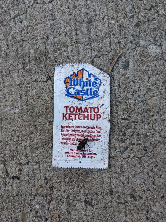 Ketchup #21