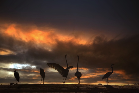 Dancers in nature