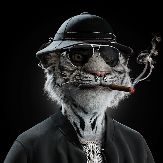 4D Fashion Cat Metaverse