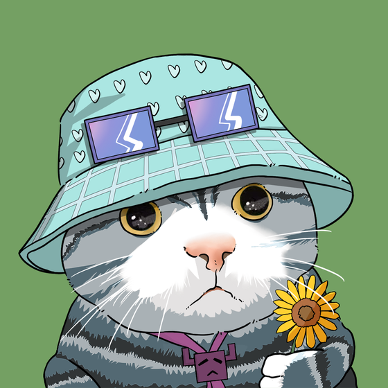 Puzzled cat #9984