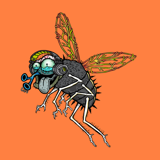 Funky Fly #2447