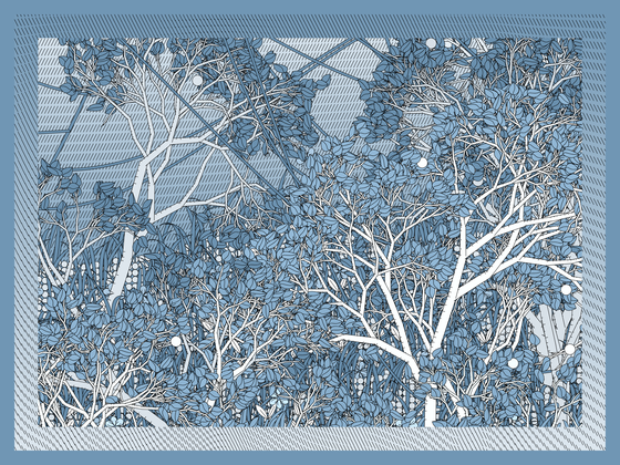 Entangled #23