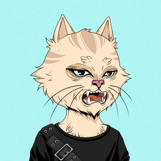 Angry Cat #2556