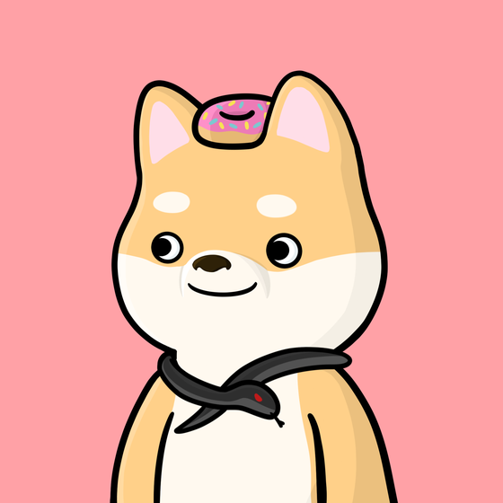 Shibe #4307