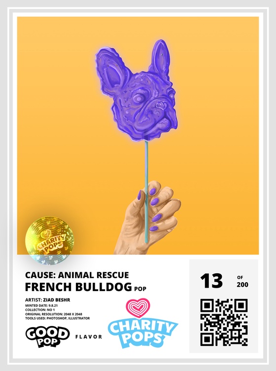 French Bulldog #13