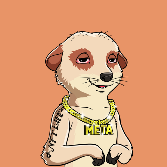 Meta Meerkat Club Male #3341