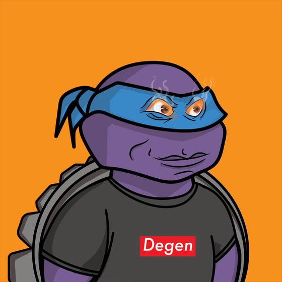 Degen Ninja Turtle #4785