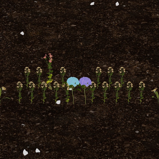 xand3r.eth's Token Garden