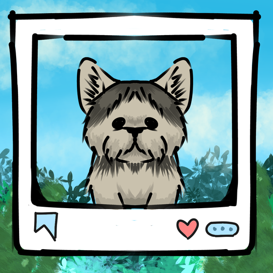 旅する犬 #1427