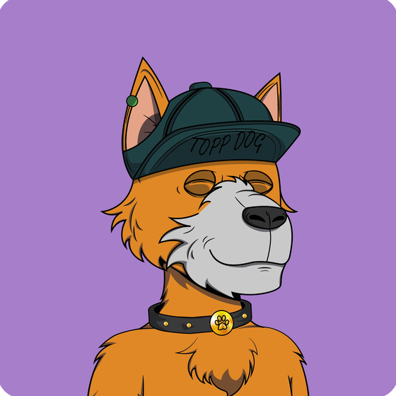 Topp Dogs #169