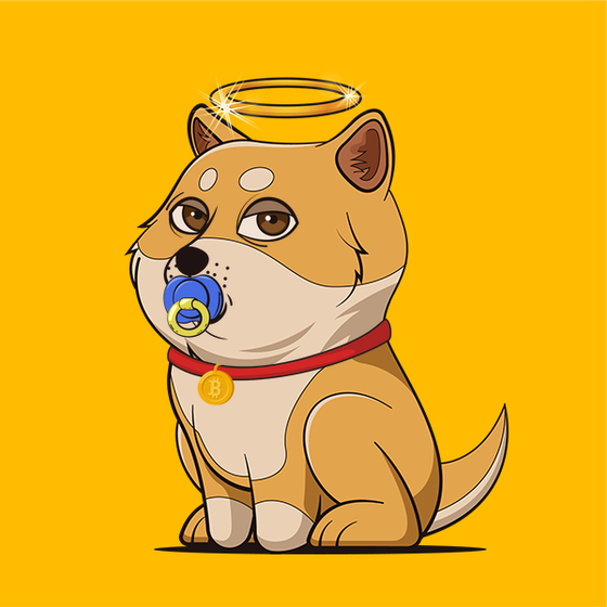 Baby Doge #1705