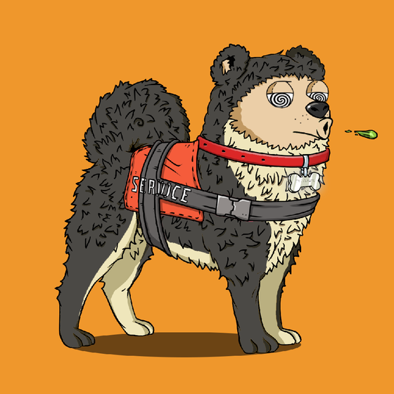 y00ts Canine Club #901