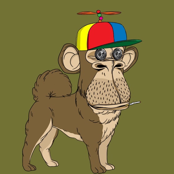 Kennel Ape #8239
