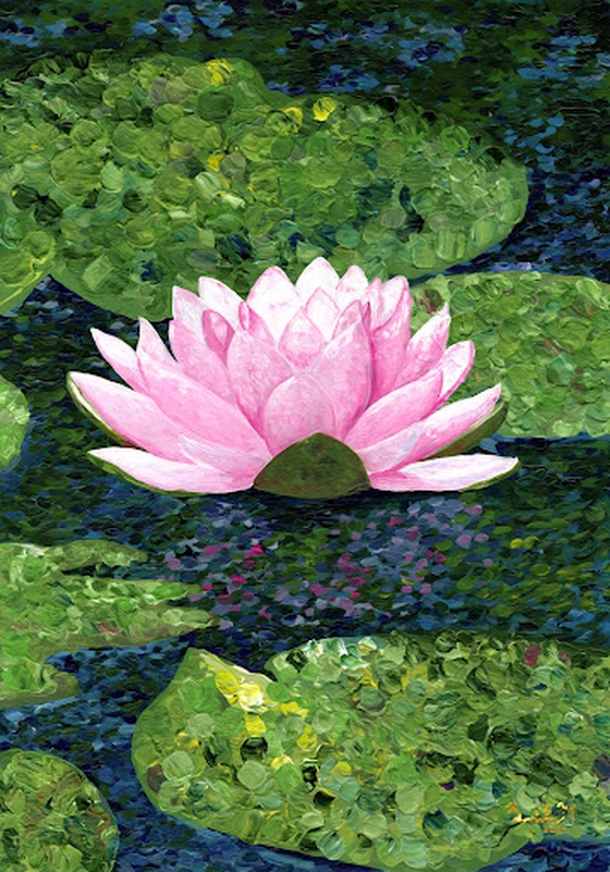 Lotus flower pond