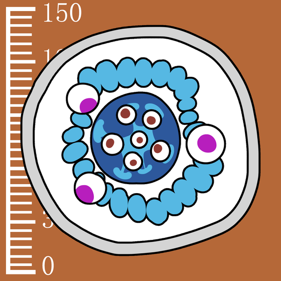 154