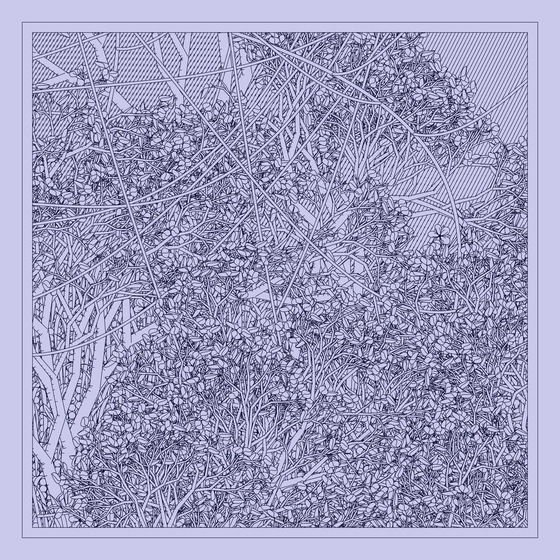 Entangled #473