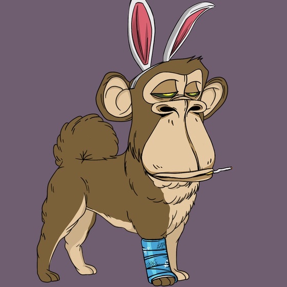 Kennel Ape #6525